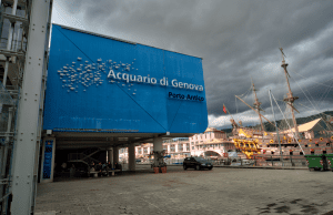 Successo per la riapertura dell’Acquario di Genova