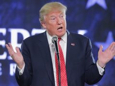 Il referendum di Musk su Twitter per il ritorno di Trump sul social Il referendum di Musk su Twitter per il ritorno di Trump sul social