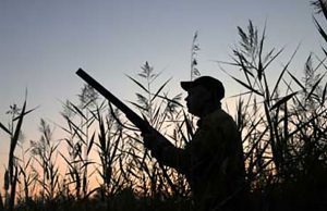 Calendario venatorio 2018/2019: stasera incontro a Bordighera con Bruzzone, Piana e Mai