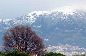 Liguria, prolungata e modificata l’allerta gialla per neve Leggera nevicata in zona Certo, prestare attenzione