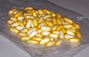 Savona, nigeriano trovato con 90 ovuli di coca ed eroina