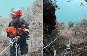 I vigili del fuoco salvano cani bloccati su parete rocciosa