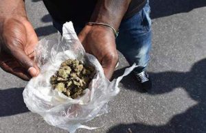 Savona, tredici chili di droga in spalla: arrestato dalla Polizia un 21enne nigeriano