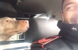 Umanità, simpatia e ironia dei carabinieri sul web: il Comando non li tocchi | Video