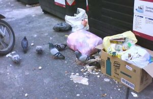 Igiene e cibo dai cassonetti, Sanremo come Genova: multa solo a chi sporca