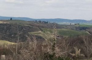 Sinalunga: oggi Giusto ha attraversato le colline senesi