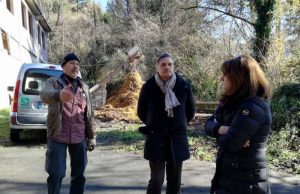 Agricoltura, Regione Liguria proroga termine taglio dei boschi cedui