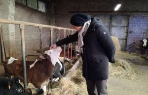 Agricoltura, Regione Liguria: valorizzare e sviluppare nostre produzioni bio