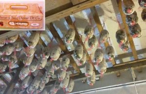 La Liguria istituisce Registro regionale dei Comuni con prodotti De.Co.