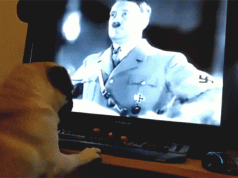Insegna al cane a fare il saluto nazista, 30enne condannato | Video