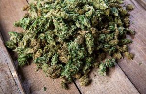 Vallecrosia, 28enne incensurato trovato con oltre un chilo di droga Spacciatore genovese trovato in via Geirato con oltre 5 chili di marijuana