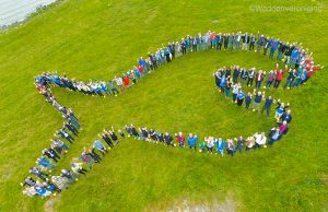 Oggi si celebra il World Fish Migration Day