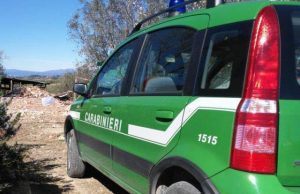 Ferisce cane di 8 mesi con dardo balestra: savonese denunciato