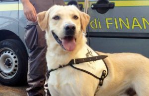 Ventimiglia, ucraino trasporta 61 chili di droga: arrestato