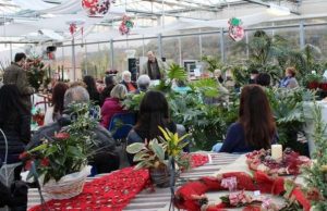 A Cisano sul Neva domani si parla di Canapa e Cannabis