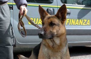 Italiano in pullman dalla Spagna con 24 chili di droga