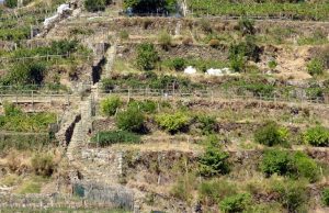Sentiero Azzurro 5 Terre, al via biglietto elettronico