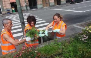 Cittadinanza attiva, assessora Bordilli pulisce aiuole Municipio Media Val Bisagno