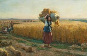 Studenti sospesi da scuola: a lavorare nei campi e aiutare progetto disabili