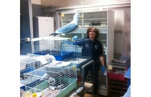 Enpa Savona, domenica la giornata dei Rifugi aperti