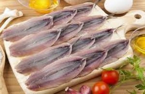 Liguria, pesca eccezionale di acciughe: oltre 6mila casse. Le più buone del mondo