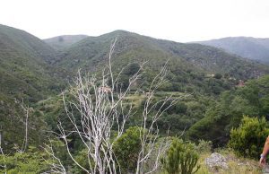 Pedestribus, una guida che spiega 8 percorsi outdoor a due passi da Genova