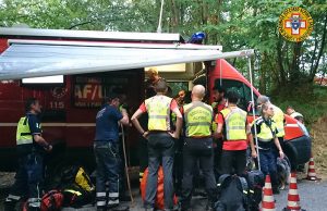 Fungaiolo di 86 anni passa notte nel bosco: ritrovato in buone condizioni