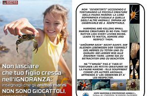 Appello dell’Enpa: Facciamo la pace con il mare