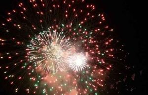 Enpa: Contrari ai fuochi artificiali rumorosi a Savona