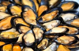 Al via il 1° settembre a Lerici Mytiliade, rassegna dedicata a cozze ed ostriche