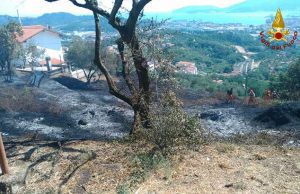 VVF intervengono per incendio boschivo tra Carozzo e San Venerio