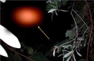 Cufom: avvistato Ufo nei cieli di Imperia