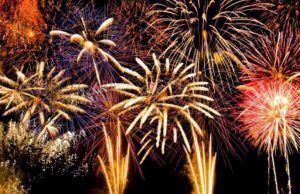 Botti di Capodanno, i consigli dell’Enpa per gli animali