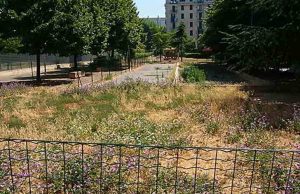 Enpa protesta contro il degrado di piazza delle Nazioni a Savona