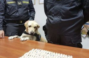 Traffico di eroina, nigeriano tenta di beffare finanziere Bacon: arrestato