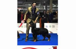 European Dog Show, il più bello categoria è della Val di Vara