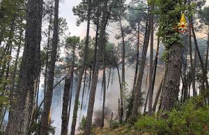 Vasto incendio alla Pomara domato dai vigili del fuoco