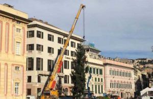 A De Ferrari arriva l’albero di Natale, domani altro a Certosa