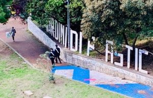 Comune di Genova: ai Giardini Baltimora più verde e piante anti smog