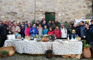 Un successo ad Andora, la Camminata tra gli ulivi: 100 appassionati