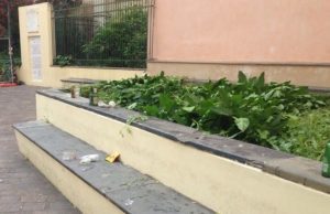 Movida violenta, botte da orbi a Sarzano: come un maxi ring di Fight Club