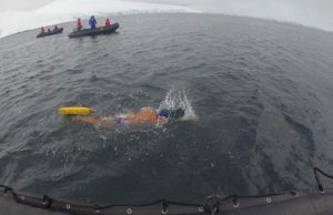 Da Recco in Antartide: un chilometro a nuoto in costume a -1,2°. Chiarino ce l’ha fatta