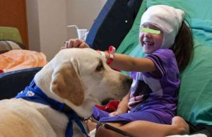 Pet therapy, domani convegno Centro civico Buranello: terapia dolce per gli umani