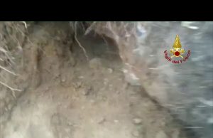 VVF salvano la cagnolina Tina, incastrata nella tana di una volpe | Video e Foto