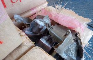 Genova, carico di arance e 6 quintali di droga: camionista campano condannato a 3 anni