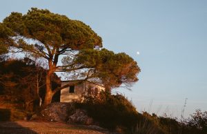 Corsi di formazione gratuiti per operatori forestali