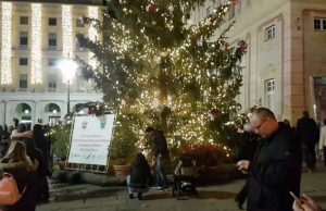 Genova, accesi alberi di Natale e tunnel di luce a Certosa | Video