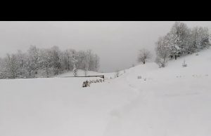 Il 12° Festival di Kustendorf durante capodanno ortodosso | Video