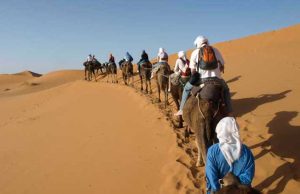 Il Nano Morgante | L’Esaudimento delle premesse