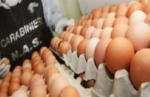 Trecentomila uova con etichette contraffatte: sequestro anche in negozio di Genova